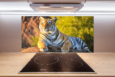 Crédence en verre trempé Portrait d'un tigre