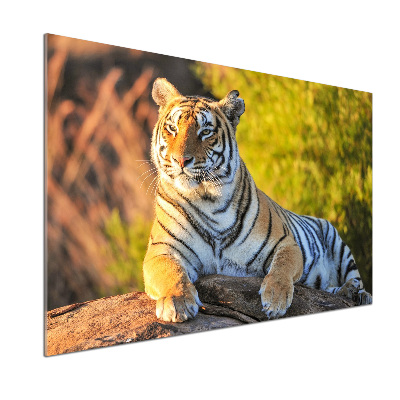 Crédence en verre trempé Portrait d'un tigre