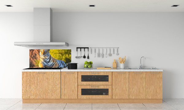 Crédence en verre trempé Portrait d'un tigre