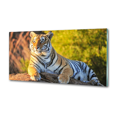 Crédence en verre trempé Portrait d'un tigre