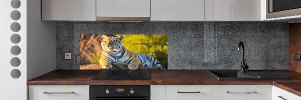 Crédence en verre trempé Portrait d'un tigre