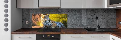 Crédence en verre trempé Portrait d'un tigre