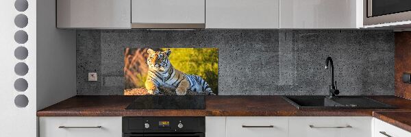 Crédence en verre trempé Portrait d'un tigre