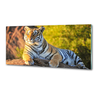 Crédence en verre trempé Portrait d'un tigre