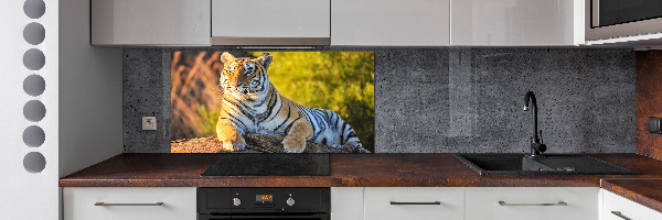 Crédence en verre trempé Portrait d'un tigre