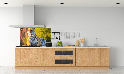 Crédence en verre trempé Portrait d'un tigre