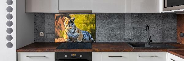 Crédence en verre trempé Portrait d'un tigre