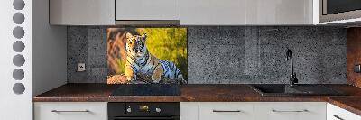 Crédence en verre trempé Portrait d'un tigre