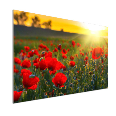 Crédence en verre avec motif Champ de coquelicots
