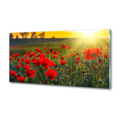 Crédence en verre avec motif Champ de coquelicots