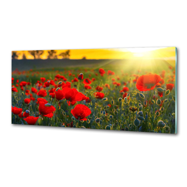 Crédence en verre avec motif Champ de coquelicots