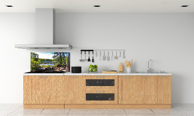 Panneau crédence cuisine Panorama de la forêt