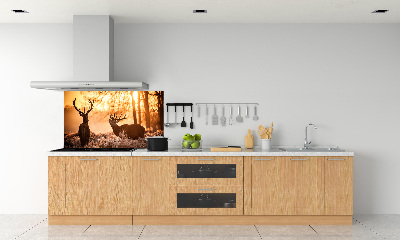 Panneau crédence cuisine Cerf à l'est
