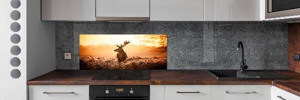Crédence cuisine en verre trempé Cerf au lever du soleil