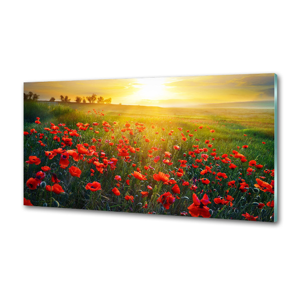Crédence cuisine en verre Champ de coquelicots