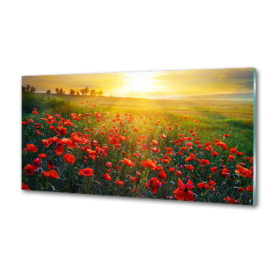 Crédence cuisine en verre Champ de coquelicots