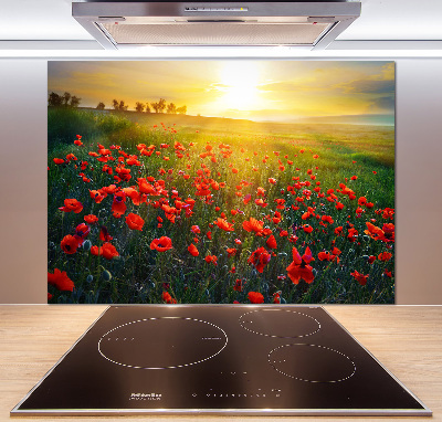 Crédence cuisine en verre Champ de coquelicots