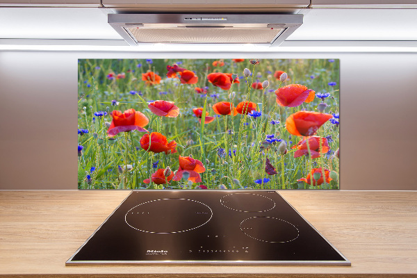 Crédence cuisine en verre trempé Fleurs des champs
