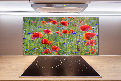 Crédence cuisine en verre trempé Fleurs des champs