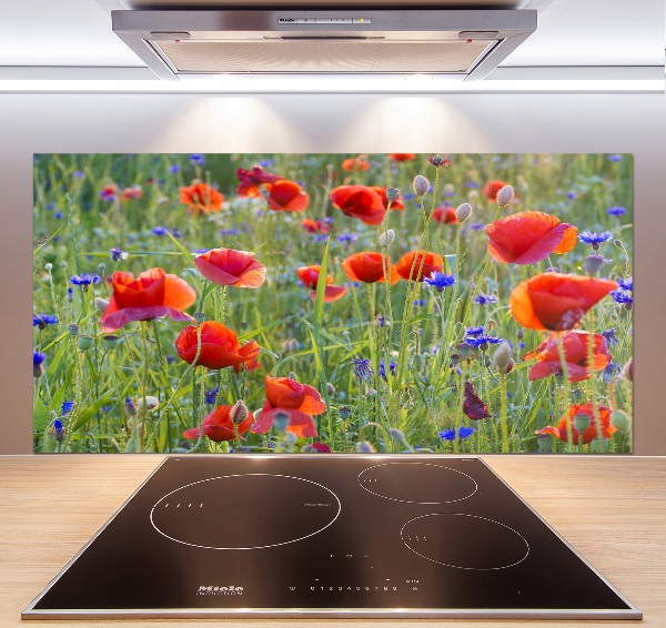 Crédence cuisine en verre trempé Fleurs des champs