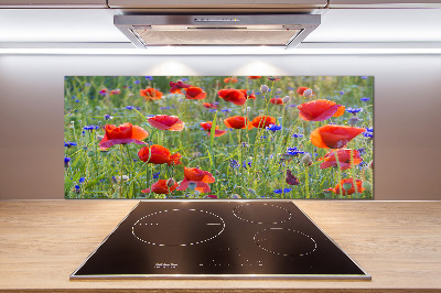 Crédence cuisine en verre trempé Fleurs des champs