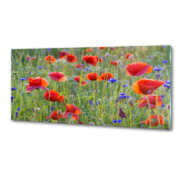 Crédence cuisine en verre trempé Fleurs des champs