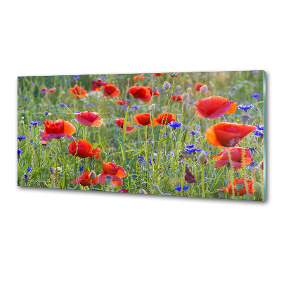 Crédence cuisine en verre trempé Fleurs des champs