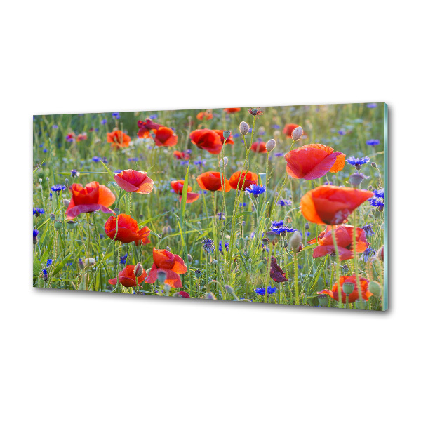 Crédence cuisine en verre trempé Fleurs des champs