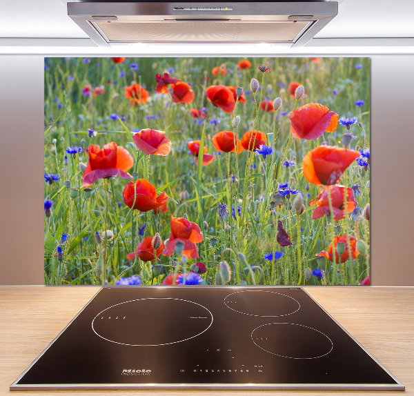 Crédence cuisine en verre trempé Fleurs des champs