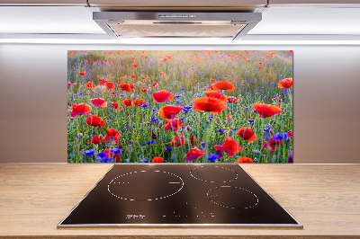 Crédence de cuisine en verre Fleurs de champ