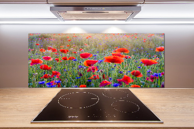Crédence de cuisine en verre Fleurs de champ
