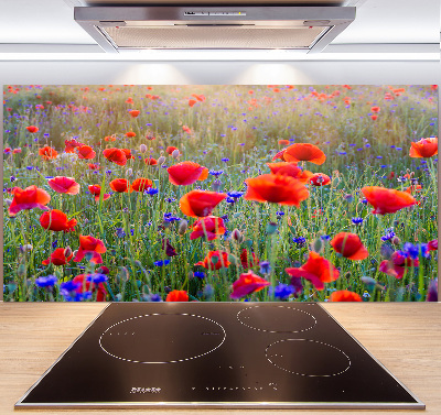 Crédence de cuisine en verre Fleurs de champ