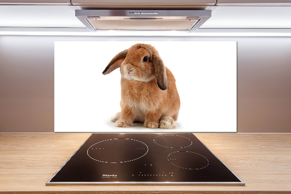 Crédence de cuisine Lapin roux