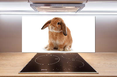 Crédence de cuisine Lapin roux