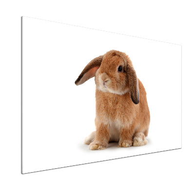 Crédence de cuisine Lapin roux