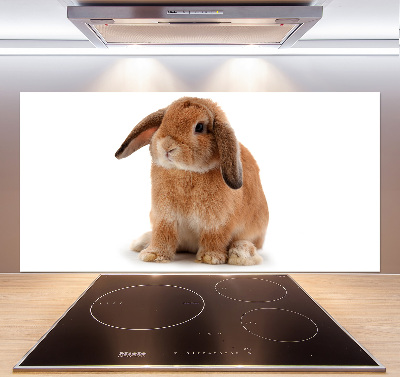 Crédence de cuisine Lapin roux
