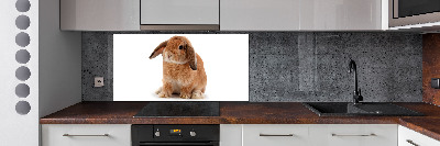Crédence de cuisine Lapin roux
