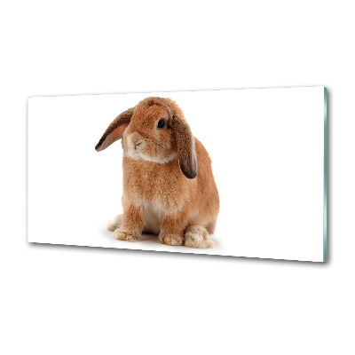 Crédence de cuisine Lapin roux