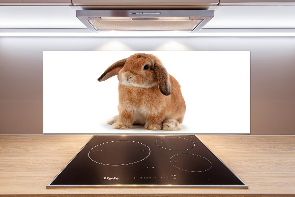 Crédence de cuisine Lapin roux