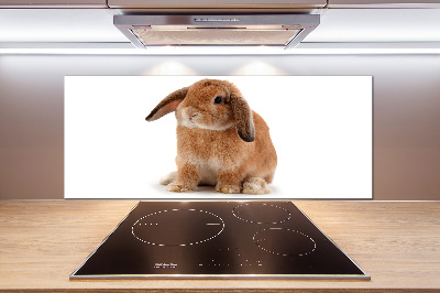 Crédence de cuisine Lapin roux