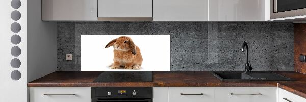 Crédence de cuisine Lapin roux