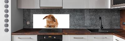 Crédence de cuisine Lapin roux