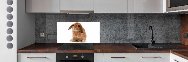 Crédence de cuisine Lapin roux