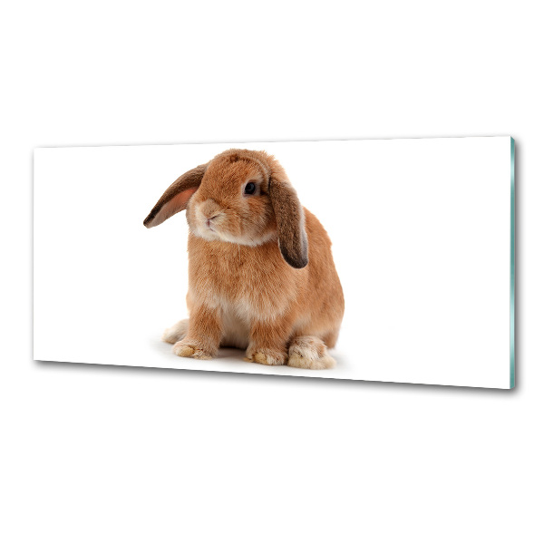 Crédence de cuisine Lapin roux