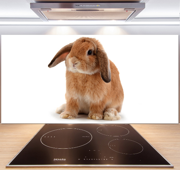 Crédence de cuisine Lapin roux