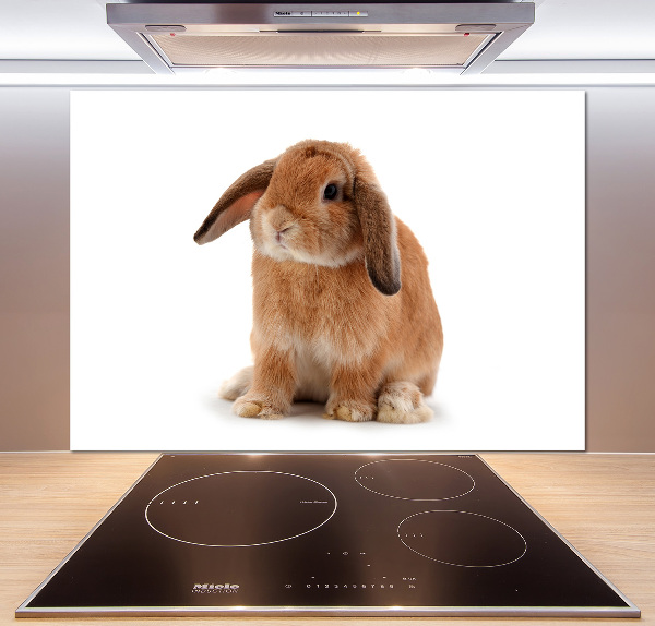 Crédence de cuisine Lapin roux