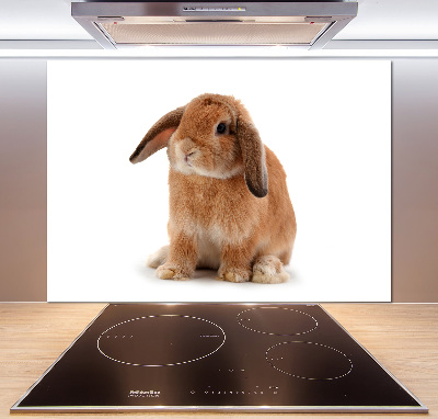 Crédence de cuisine Lapin roux