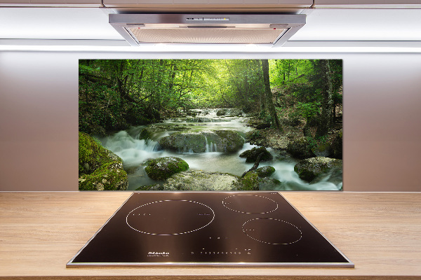 Crédence cuisine en verre Chute d'eau dans la forêt