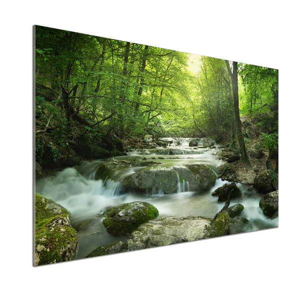 Crédence cuisine en verre Chute d'eau dans la forêt
