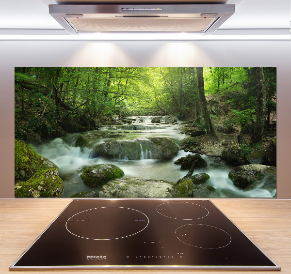 Crédence cuisine en verre Chute d'eau dans la forêt